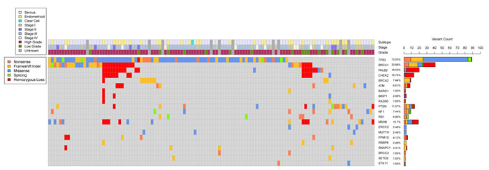 Somatic genomic landscape of epithelial ovarian cancer.