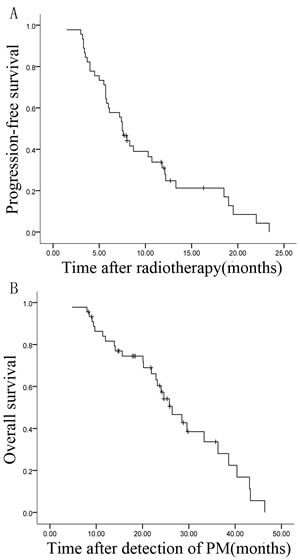 Kaplan-Meier survival curves of 45 patients with pulmonary metastases (PM) from HCC.