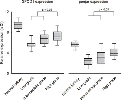 The relative expression (Ct value) from qRT-PCR experiment.