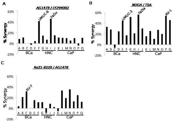 Synergistic drug combinations selected for follow-up investigation.