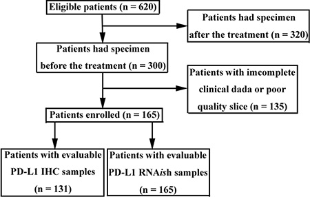 Flow chart of patient screening.