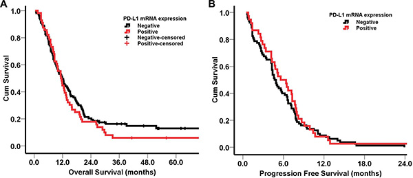 Kaplan-Meier survival curves according to PD-L1 mRNA expression.