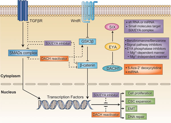 Figure 2: