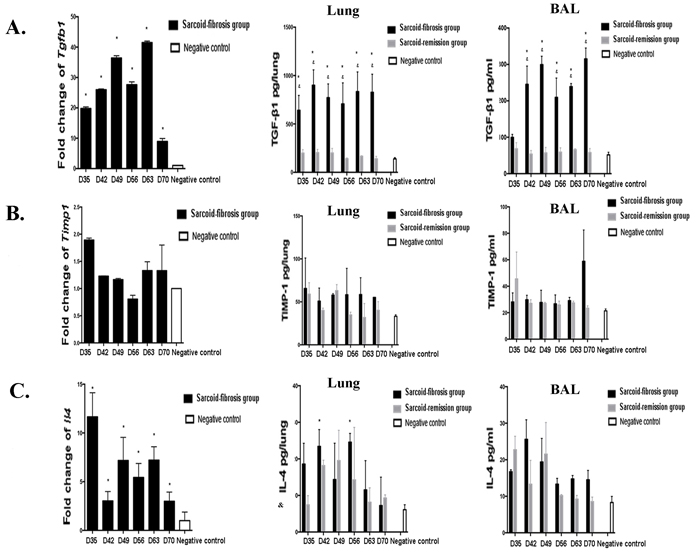 Expression of profibrotic cytokines in mice.