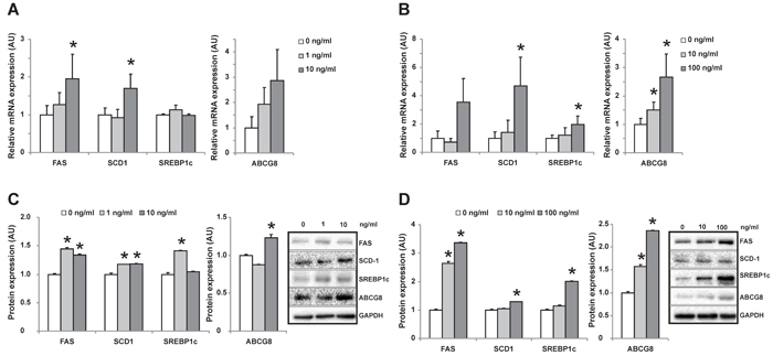 Changes of gene expression in HepG2 cells after incubated with individual OCP.