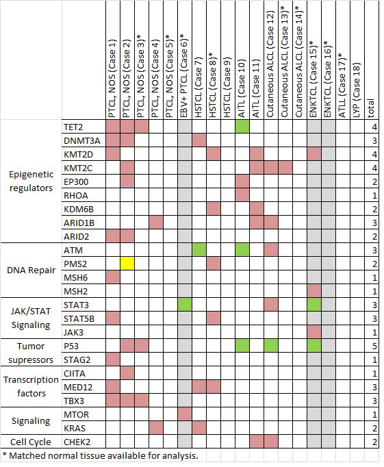 Selected mutations identified by next-generation sequencing in 18 cases of T/NK-PTLD.