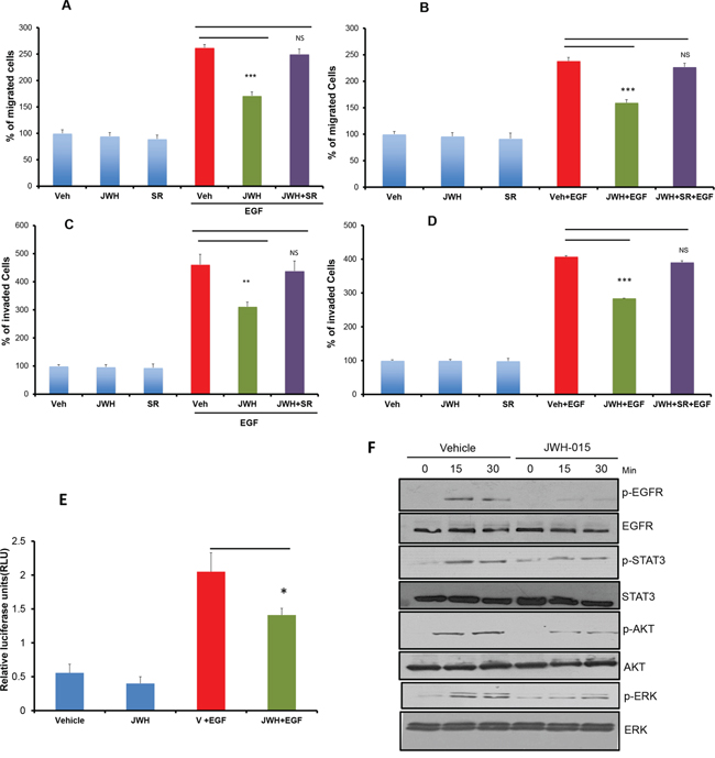 CNR2 activation inhibits EGF/EGFR signaling in ER&#x03B1;- breast cancer cells.