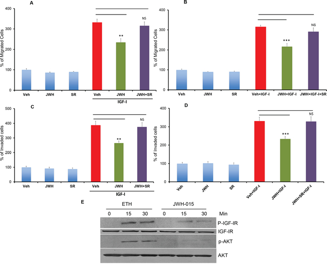 CNR2 activation inhibits IGF/IGF-IR signaling in ER&#x03B1;- breast cancer cells.