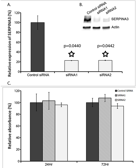 Effect of SERPINA3 Silencing on Melanoma Cell Proliferation.