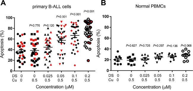 DS/Cu induces apoptosis in primary adult B-ALL cells but not normal PBMCs.