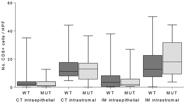 Quantification of CD8-positive T-cells in intraepithelial and intrastromal components in the center of the tumor (CT) and invasive margin (IM) in JAK1 wildtype (WT) and mutant (MUT) MSI endometrial cancers.