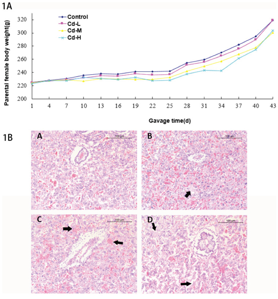 Figure 1: