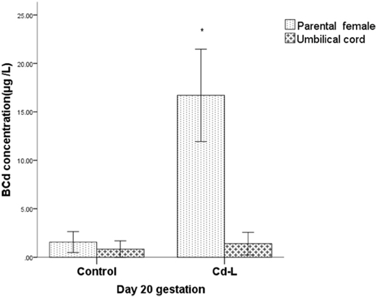 Cd concentrations in parental and umbilical cord blood.