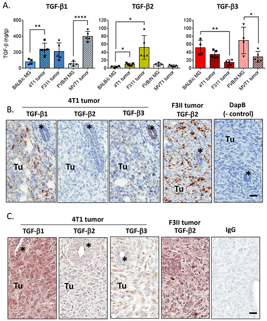 TGF-&#x03B2; isoform expression in mouse mammary tumors.