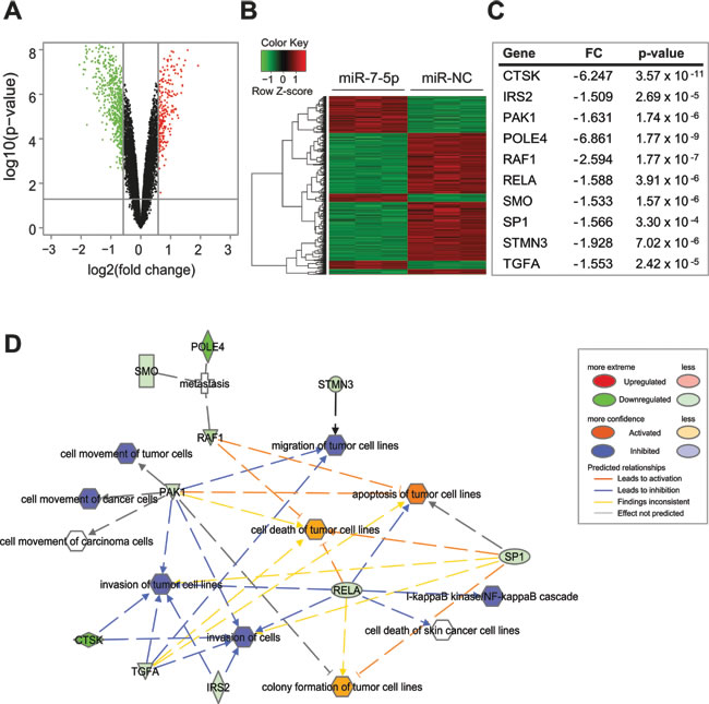 miR-7-5p downregulates a program of gene expression associated with melanoma, growth and metastasis