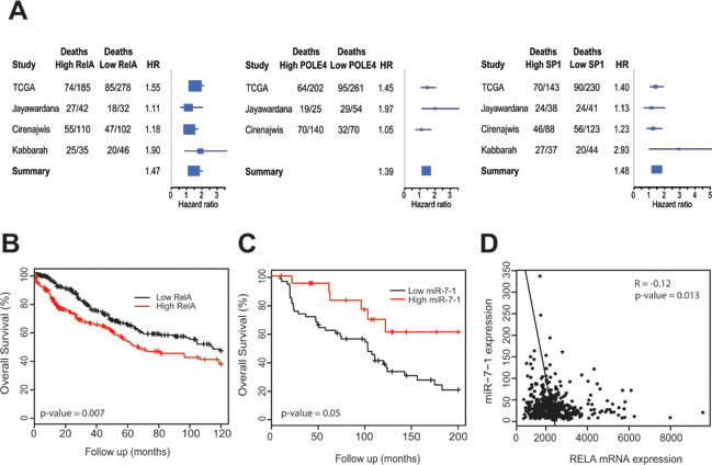 Prognostic significance of RelA, POLE4, SP1 and miR-7-1 in melanoma.