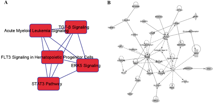In silico analyses for potential functions of the genes regulated by the 15 significant miRNAs.