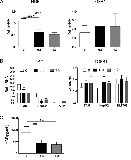 Cytokine profiles in a transwell system containing polarized macrophages, HepG2, and HL7702 cells.