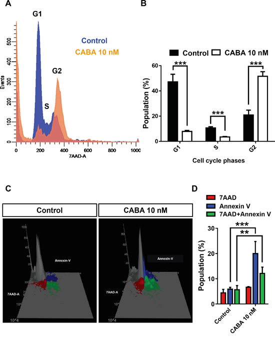 Cabazitaxel induces apoptotic cell death in gliomas.