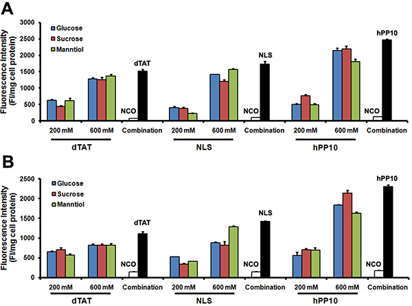 Different FITC-labeled peptides penetration in Caski and HepG2 cells.