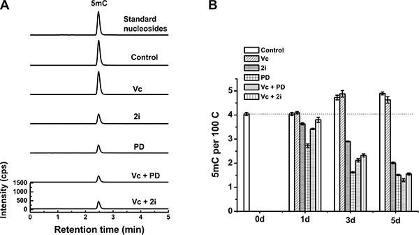 Tet1/Tet2 double knockout attenuated the loss of 5mC induced by Vc/PD0325901 and Vc/2i relative to that in wild-type ESCs.