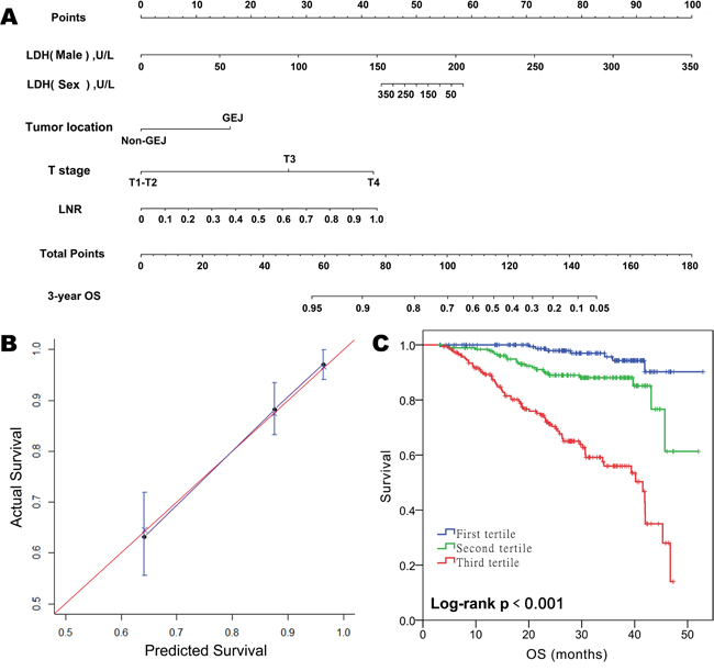 Prognostic nomogram for predicting overall survival (OS) in patients with resectable gastric cancer.