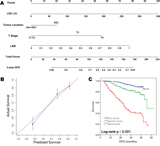 Prognostic nomogram for predicting disease-free survival (DFS) in patients with resectable gastric cancer.
