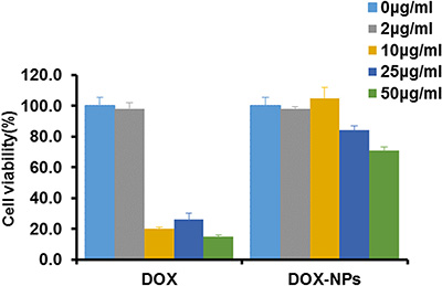 Macrophages viability after incubation with DOX or DOX-NPs for 12 h at 37&#x00B0;C.