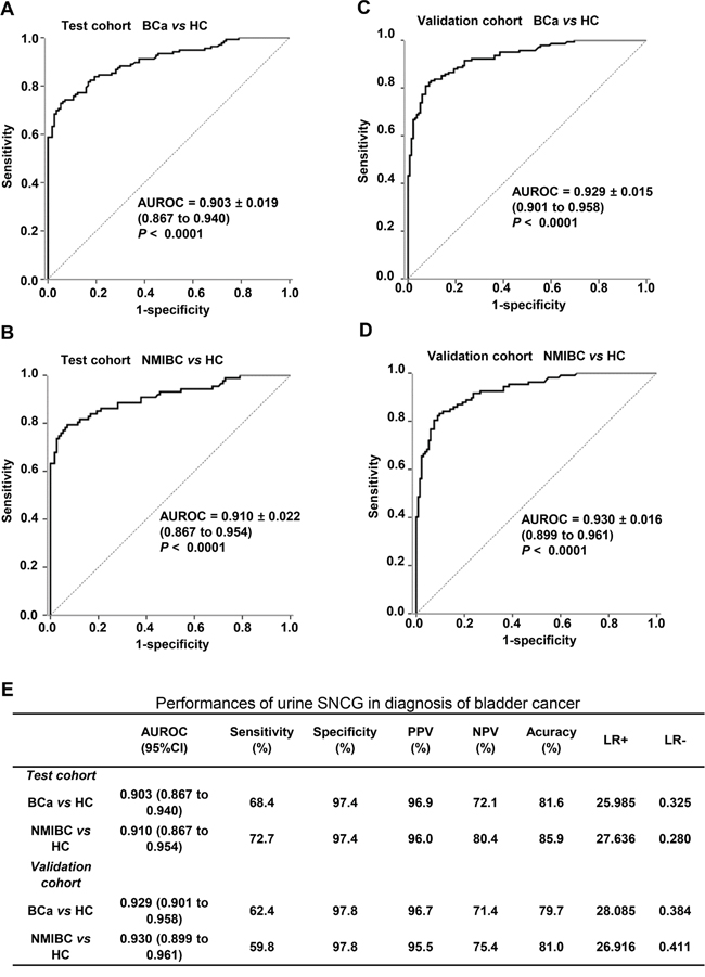 Diagnostic performance of the SNCG ELISA for all BCa and NMIBC patients versus healthy controls.