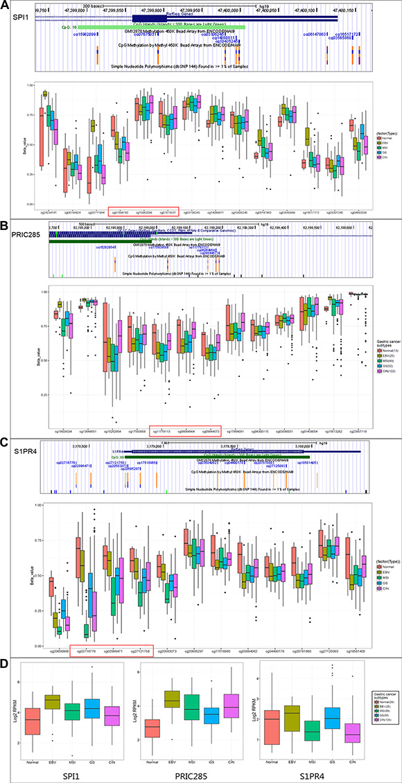 The clinical relevance of SPI1, PRIC285, S1PR4 methylation and correlation with expression in GC by TCGA database.