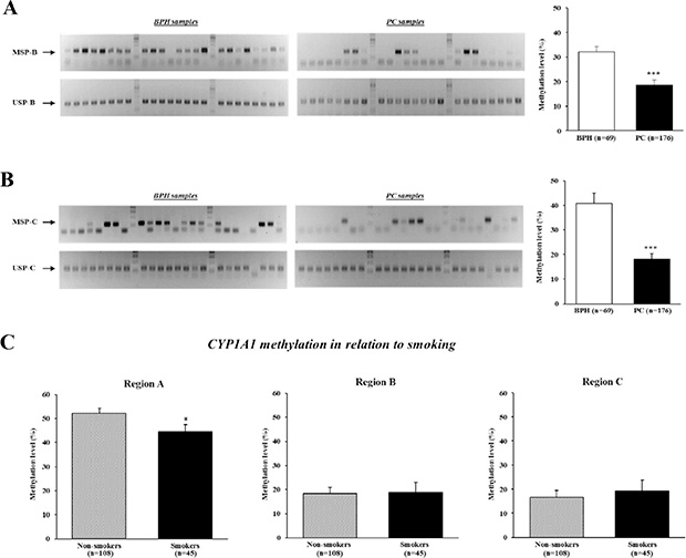 Analysis of CYP1A1 methylation in enhancer regions B (XRE-983) and C (XRE-895), and effect of smoking on methylation levels.