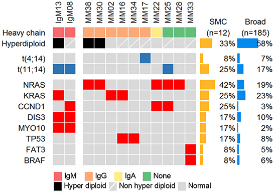 Mutational landscape of multiple myelomas (MMs), including the detected mutations from IgM MM patients.