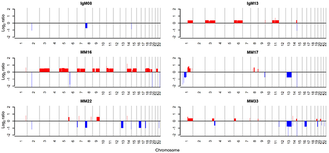 Copy number alterations of MM patients.