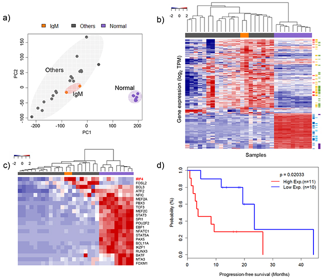 Clustering of gene expression profiles and heat map for specific gene sets.