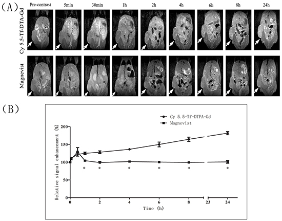 MR imaging of mice with subcutaneous H1299 cell xenografts.