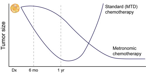 Comparison of Metronomic and Standard dose strategies.