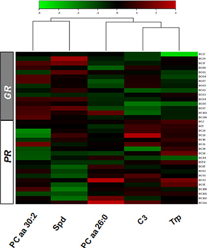 Heatmap of the relative concentration of five metabolites with VIP &#x003E; 1 in the serum of the GR and PR groups of patients according to the response to trastuzumab-paclitaxel treatment.