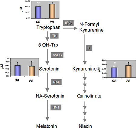 Tryptophan catabolic pathway and the mean concentration [&#x03BC;M] of metabolites among the GR and PR groups of patients.