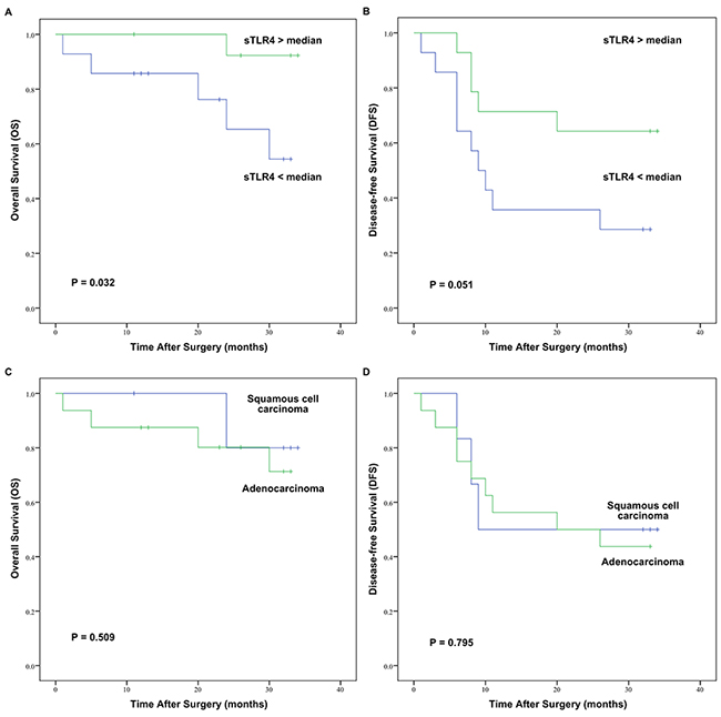 OS and DFS curves of 28 early-stage NSCLC patients after surgery assessed by Kaplan&#x2013;Meier analysis according to serum sTLR4 levels or pathological types.