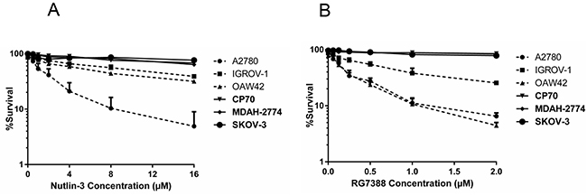 Clonogenic survival for the panel of ovarian cancer cell lines.