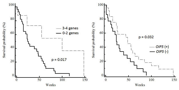 Correlation between CTA gene expression and overall survival of GBM patients.