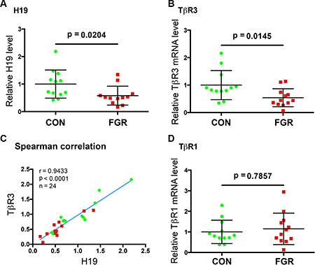 The expressions of H19 and T&#x03B2;R3 are significantly decreased in the FGR placentae.