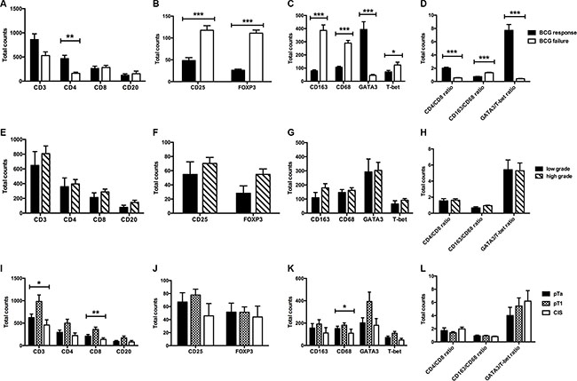 Total expression levels of immune cell subsets depending on BCG response (A&#x2013;D), tumor grade (E&#x2013;H) and tumor stage (I&#x2013;L).