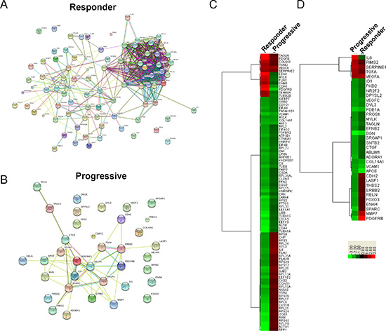 Expression analysis of differentially expressed genes identified in Metacore&rsquo;s top 10 process network maps for sunitinib progressive and responsive tumors.