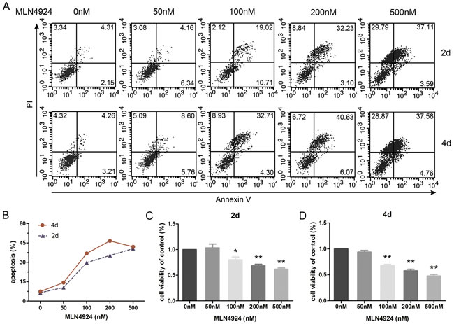 Inhibition of neddylation induces apoptosis of BMDCs.