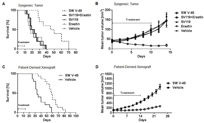 SW V-49 reduces tumor growth and improves median survival in murine models of pancreatic cancer.