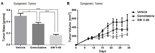 SW V-49 outperforms gemcitabine in stroma-dense models of pancreatic cancer.