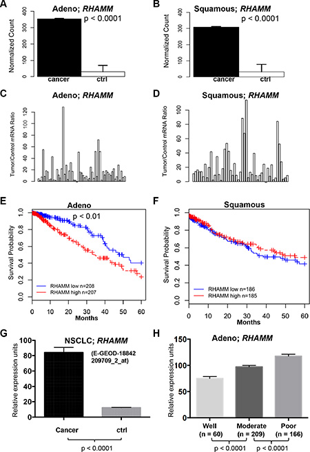 RHAMM gene expression is upregulated in lung adenocarcinomas compared to the patient-matched normal tissues and is associated with poor prognosis from TCGA datasets.