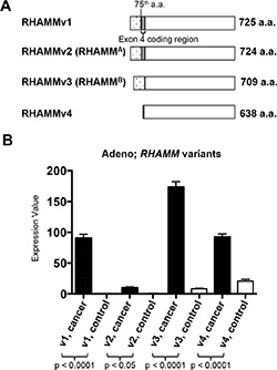 RHAMM variant gene expression from TCGA lung adenocarcinomas and normal lung tissues.