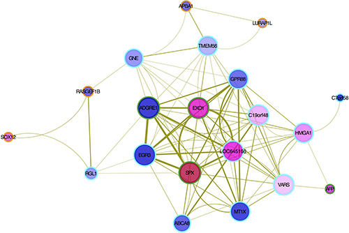 Hub gene interactions by co-expression pattern in MEtan module.
